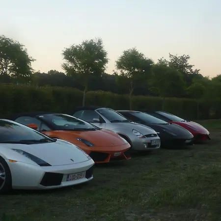 Apartamento Rotreiher-urlaub Am Trasimeno-see By Interhome