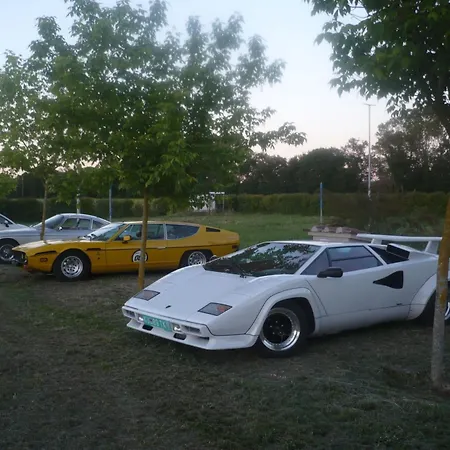 Rotreiher-urlaub Am Trasimeno-see By Interhome Apartment Pucciarelli