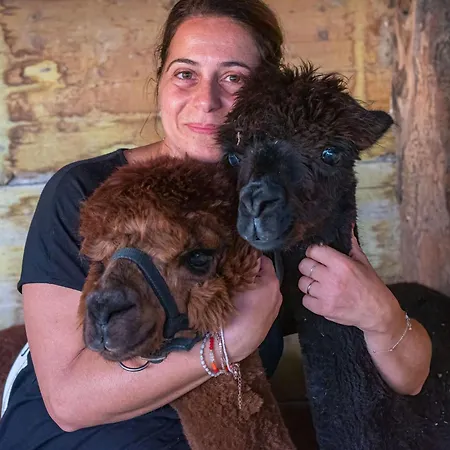 Rotreiher-urlaub Am Trasimeno-see By Interhome Apartamento