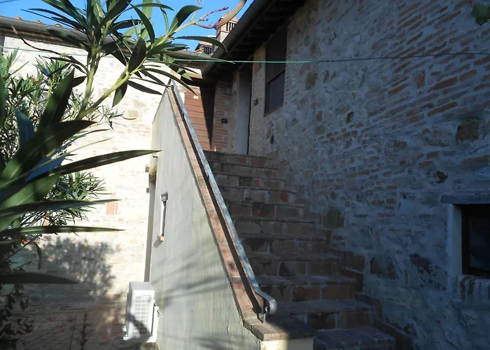 Rotreiher-urlaub Am Trasimeno-see By Interhome Appartement
