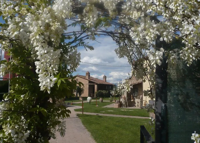 Rotreiher-urlaub Am Trasimeno-see By Interhome * Pucciarelli