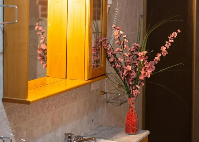 Rotreiher-urlaub Am Trasimeno-see By Interhome * Pucciarelli