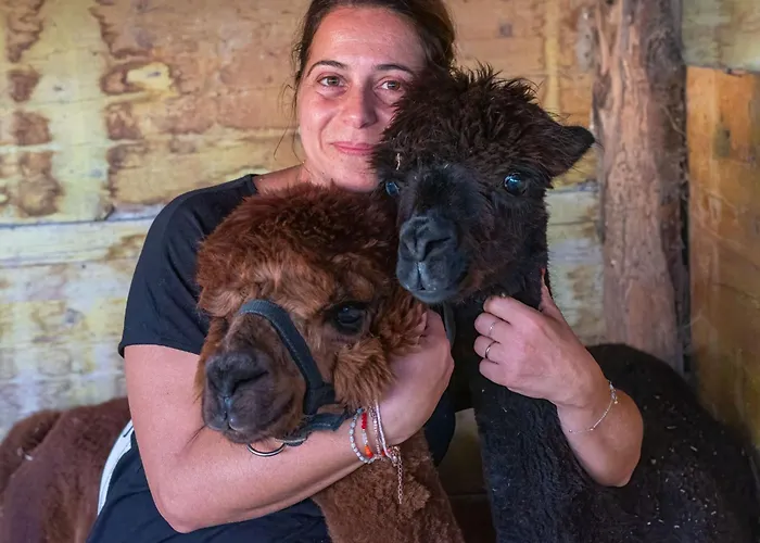 Rotreiher-urlaub Am Trasimeno-see By Interhome Appartement